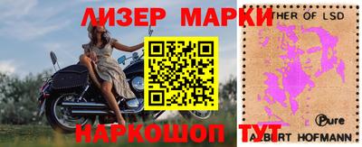 шишки Краснознаменск