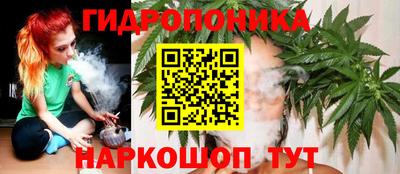 шишки Краснознаменск