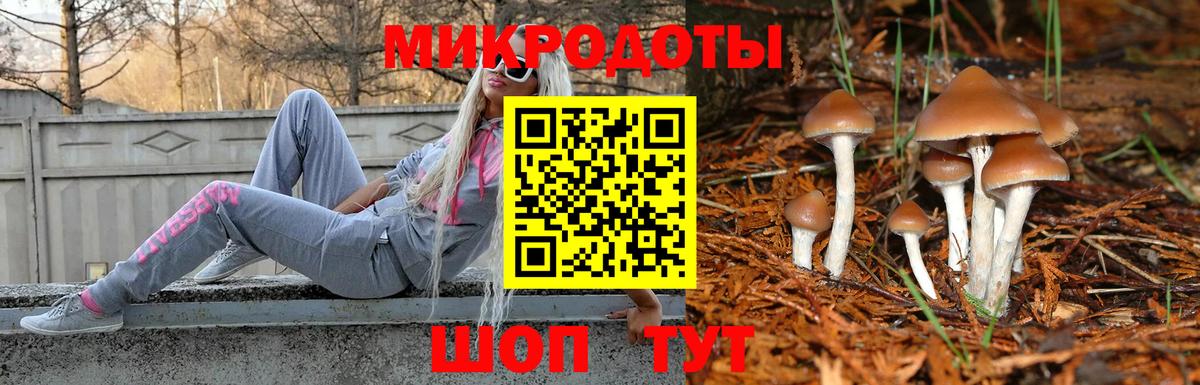 Псилоцибиновые грибы мицелий Еманжелинск